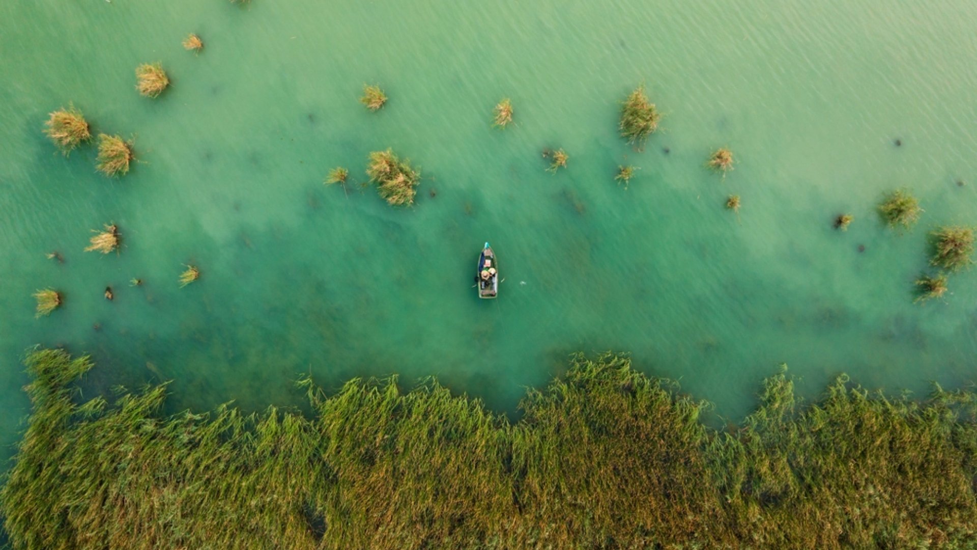 vadászgép roncs Balaton Balaton vadászgép roncs
