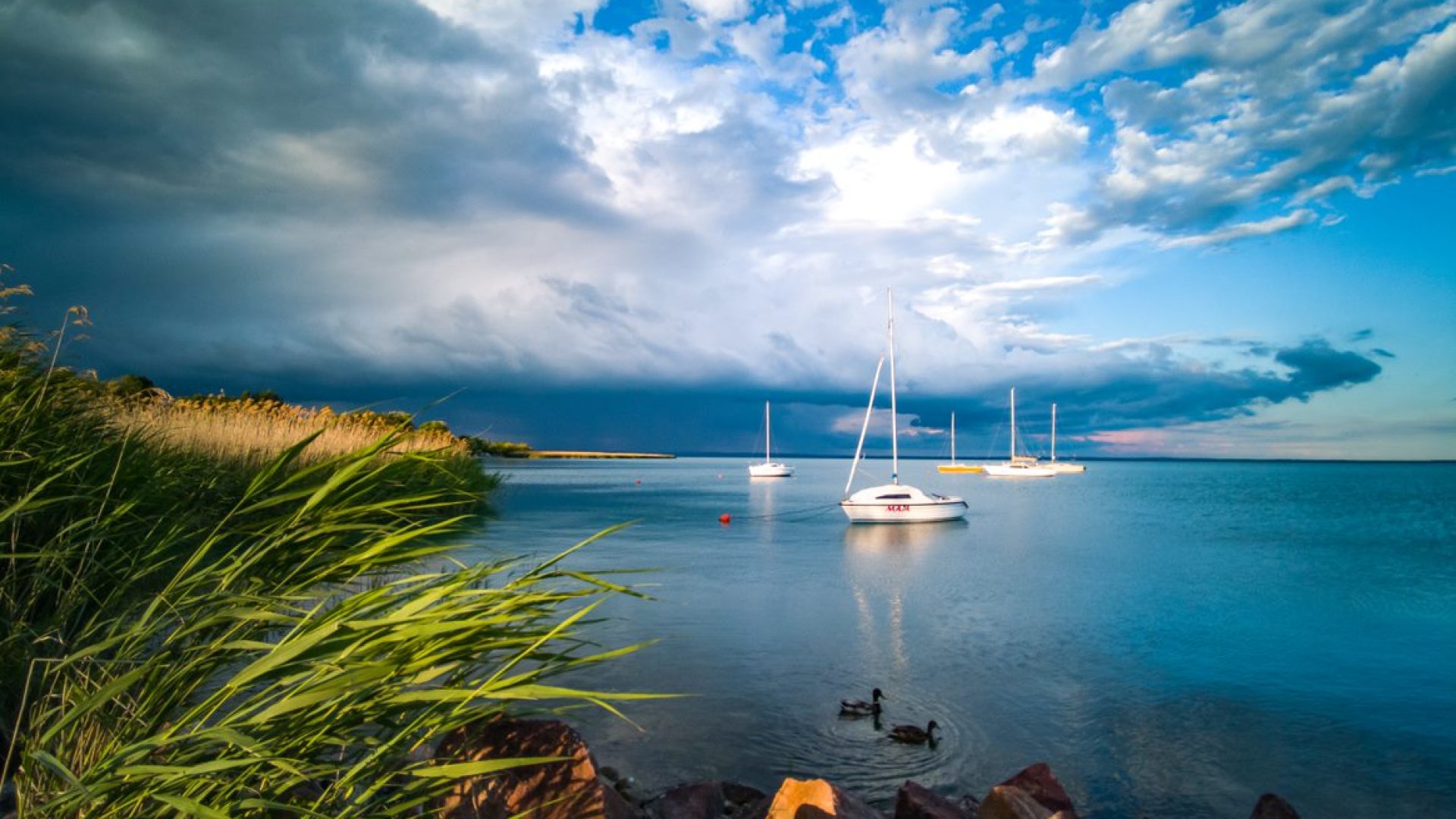 Programok hétvégén a Balatonnál hétvégi balatoni programok