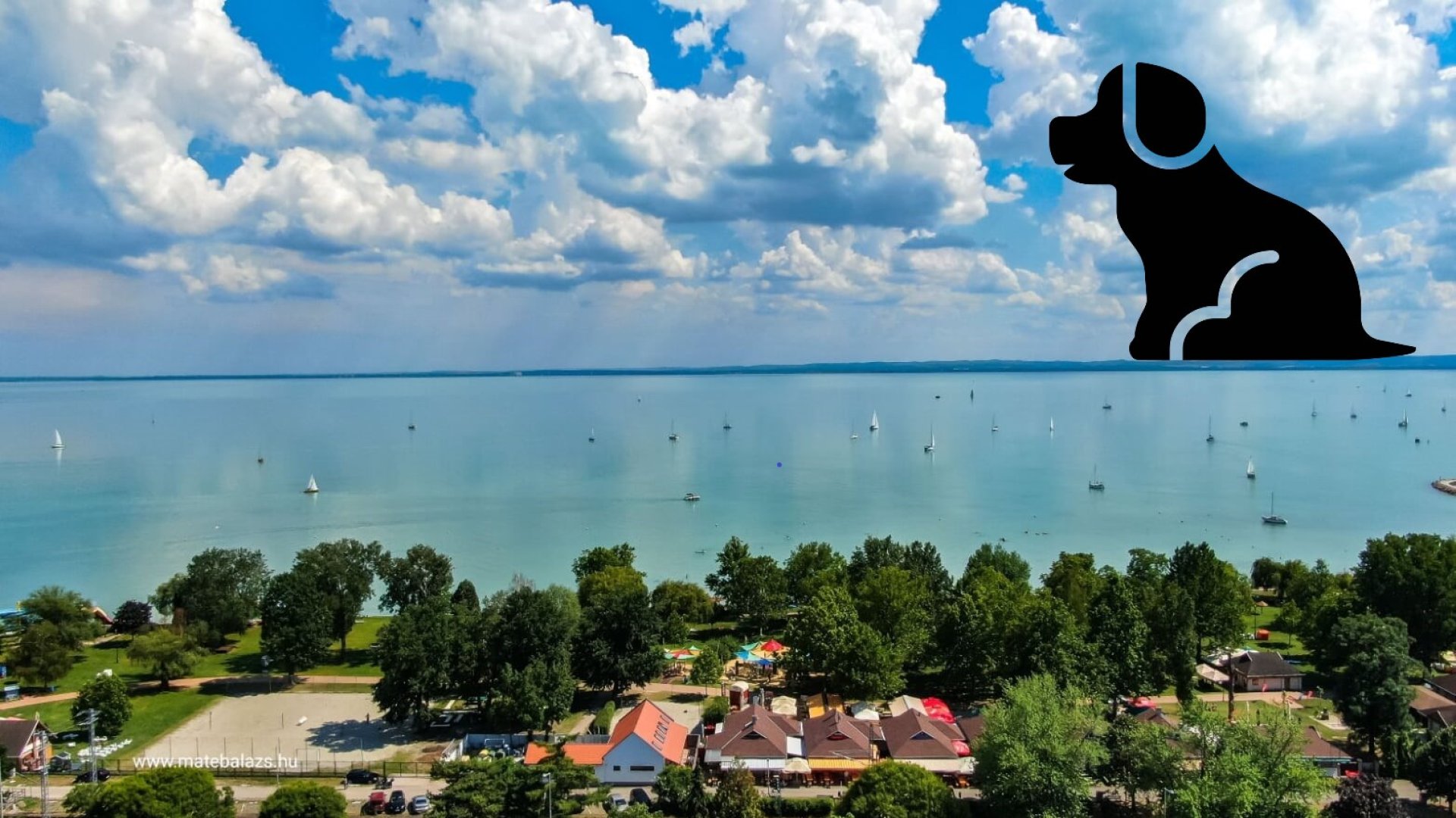 Kutyával a Balatonnál: Balatoni kutyás strandok 2021 Balatoni kutyás strandok 2021