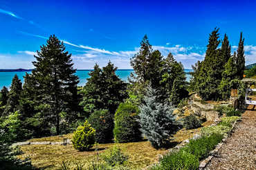 Tobozszüret Folly arborétum 2020