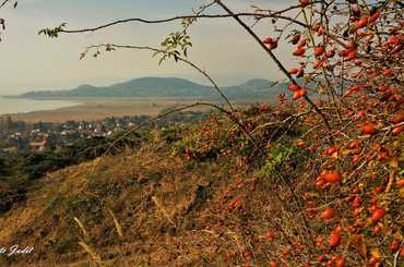 A legjobb őszi kirándulóhelyek a Balatonnál 2021